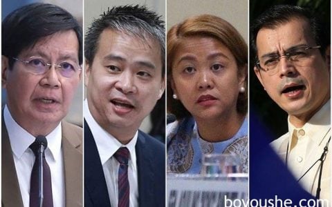“团结一切可团结的力量” 反对派就大选接触拉克森莫仁诺等人
