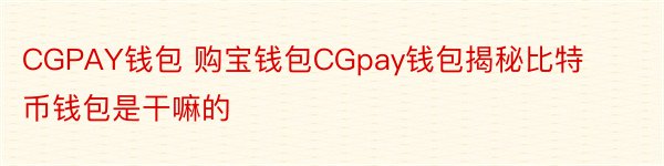 CGPAY钱包 购宝钱包CGpay钱包揭秘比特币钱包是干嘛的